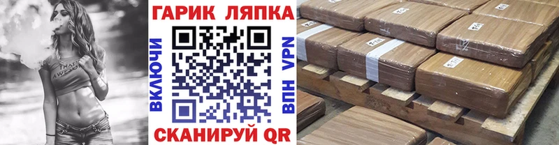 ГАШ Premium  купить   Пыталово 