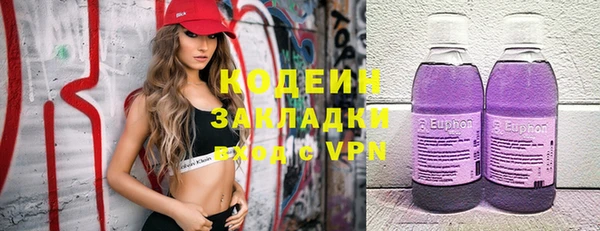 индика Заволжье